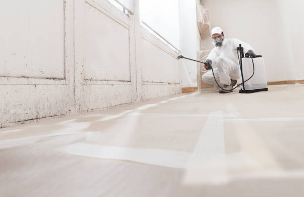 24/7 Emergency Mold Testing experts in Sparrows Point, MD